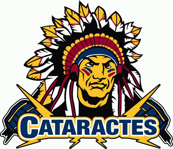shawinigan cataractes 2008-pres primary logo iron on transfers for clothing
